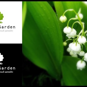 Logos: AlexGarden
